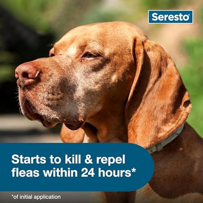 Seresto - Flea & Tick Preventative Collar for Large Dogs ( 30% Off )